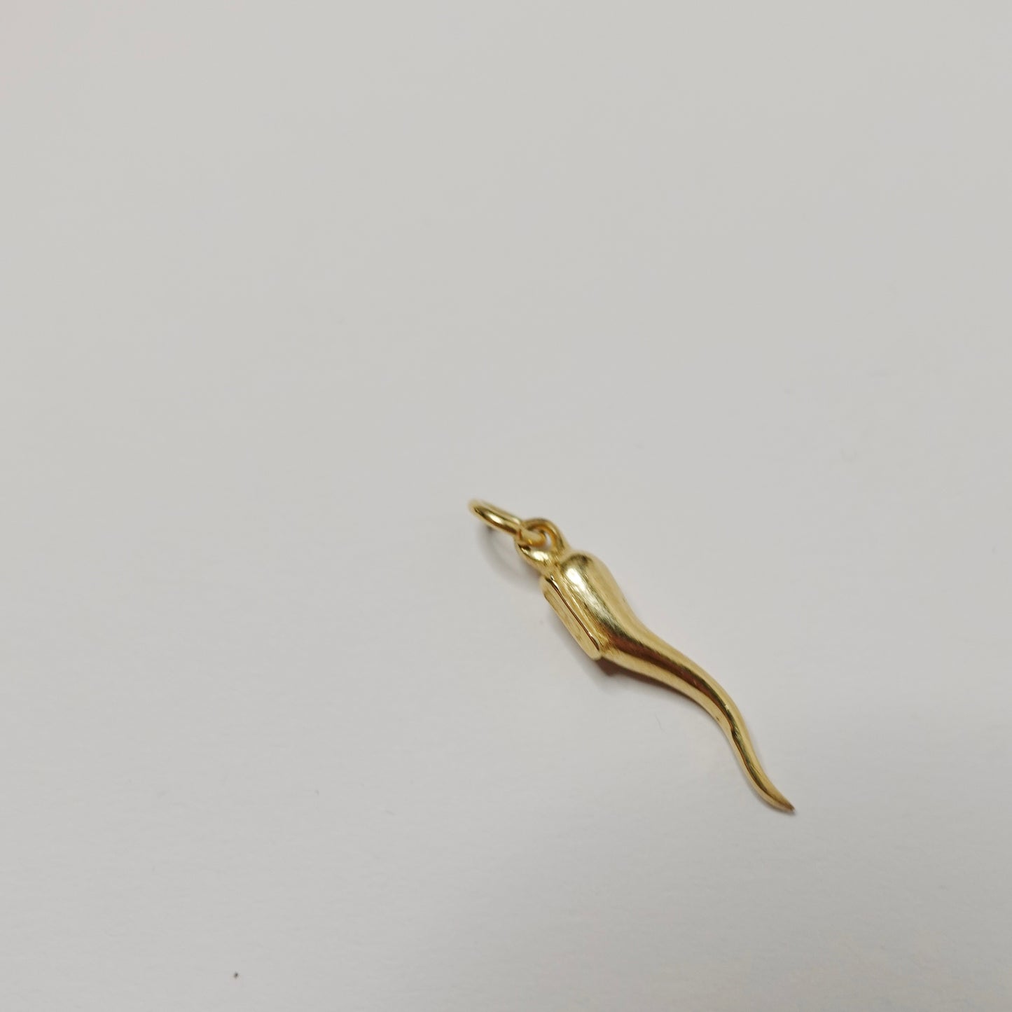 CLASSIC CORNICELLO CHARM
